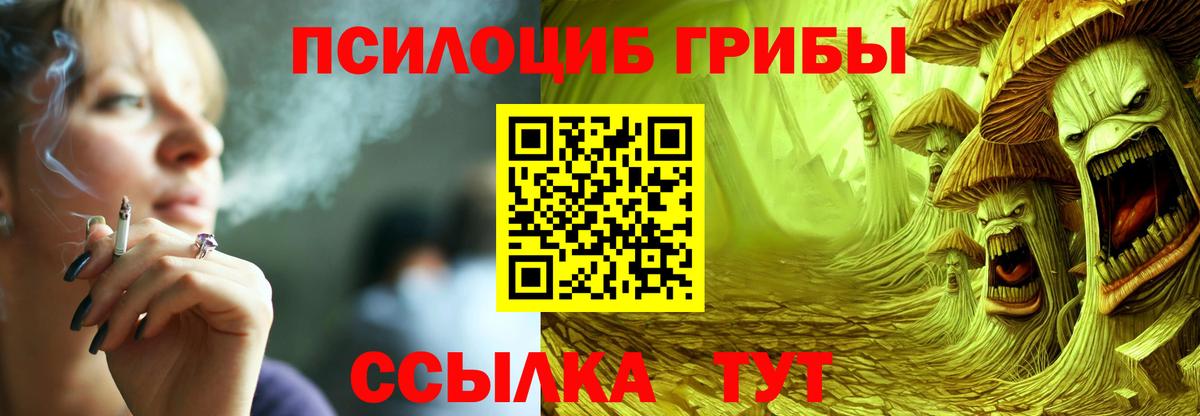 Псилоцибиновые грибы мухоморы Йошкар-Ола